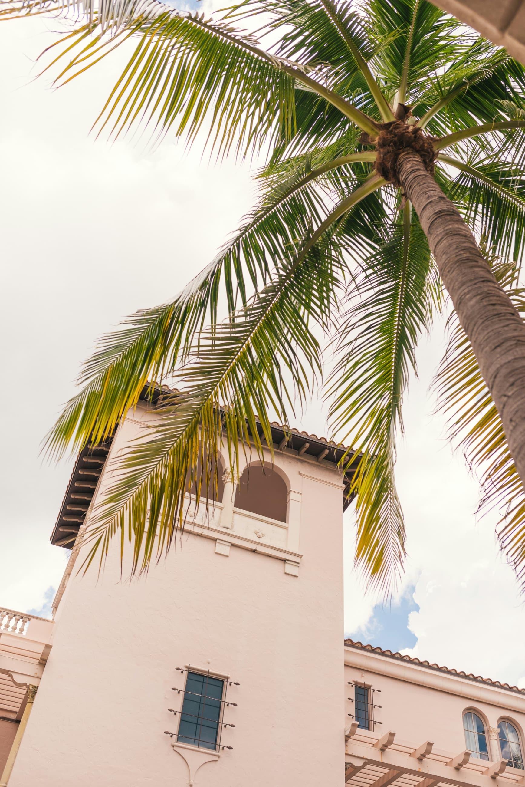 A palm tree arching over a pink Mediterranean-style tower against a bright, cloudy sky.